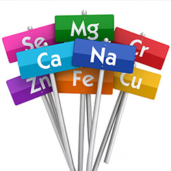 Mineralstoffe im Vollblut